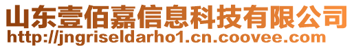 山東壹佰嘉信息科技有限公司