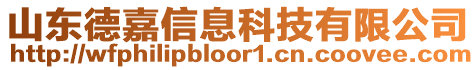 山东德嘉信息科技有限公司