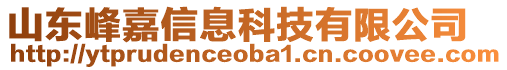 山東峰嘉信息科技有限公司