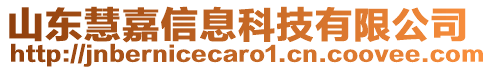 山东慧嘉信息科技有限公司