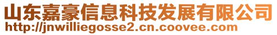 山东嘉豪信息科技发展有限公司