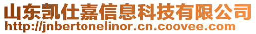 山東凱仕嘉信息科技有限公司