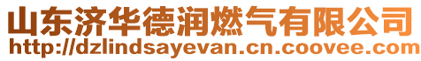 山东济华德润燃气有限公司