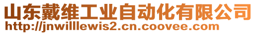 山東戴維工業(yè)自動(dòng)化有限公司