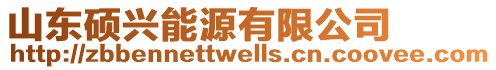 山東碩興能源有限公司