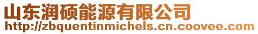 山東潤碩能源有限公司