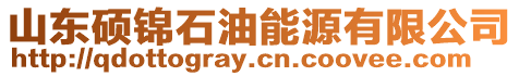 山東碩錦石油能源有限公司