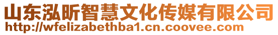 山東泓昕智慧文化傳媒有限公司