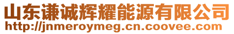 山東謙誠輝耀能源有限公司