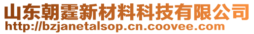 山東朝霆新材料科技有限公司