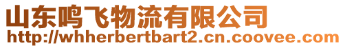 山東鳴飛物流有限公司