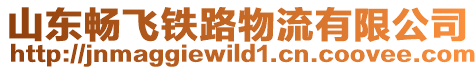 山東暢飛鐵路物流有限公司