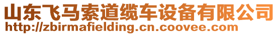 山東飛馬索道纜車設(shè)備有限公司