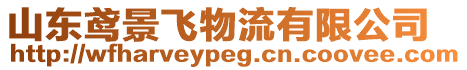 山東鳶景飛物流有限公司