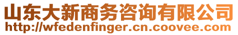 山東大新商務(wù)咨詢有限公司