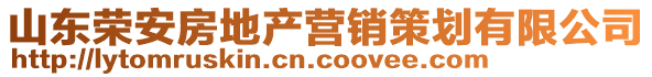 山東榮安房地產營銷策劃有限公司