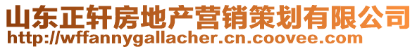 山東正軒房地產(chǎn)營銷策劃有限公司
