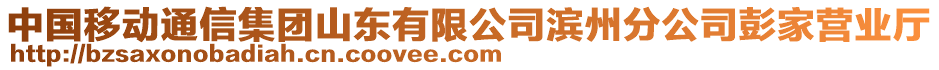 中國移動通信集團山東有限公司濱州分公司彭家營業(yè)廳