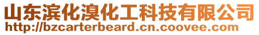 山東濱化溴化工科技有限公司