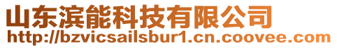 山東濱能科技有限公司