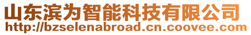 山東濱為智能科技有限公司