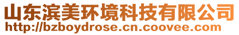 山東濱美環(huán)境科技有限公司