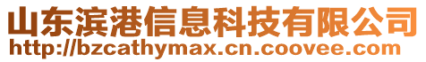 山東濱港信息科技有限公司