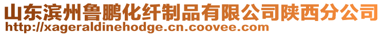 山東濱州魯鵬化纖制品有限公司陜西分公司