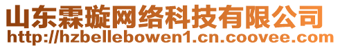 山東霖璇網(wǎng)絡(luò)科技有限公司