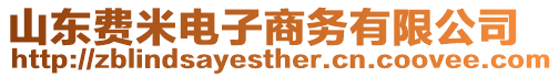 山東費米電子商務有限公司
