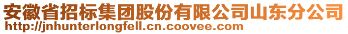 安徽省招標(biāo)集團(tuán)股份有限公司山東分公司