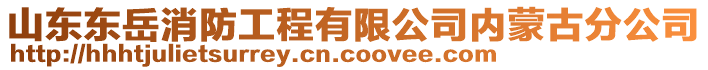 山東東岳消防工程有限公司內(nèi)蒙古分公司
