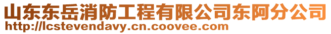 山東東岳消防工程有限公司東阿分公司
