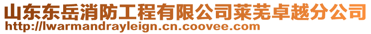 山東東岳消防工程有限公司萊蕪卓越分公司