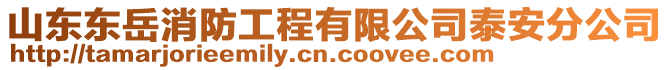 山東東岳消防工程有限公司泰安分公司