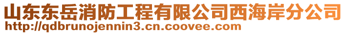 山東東岳消防工程有限公司西海岸分公司