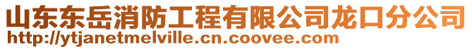 山東東岳消防工程有限公司龍口分公司