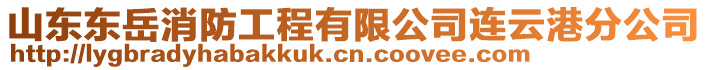 山東東岳消防工程有限公司連云港分公司