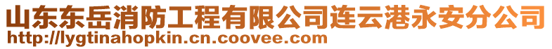 山東東岳消防工程有限公司連云港永安分公司