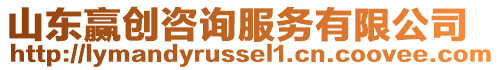 山東贏創咨詢服務有限公司