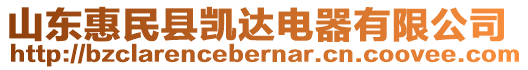 山東惠民縣凱達(dá)電器有限公司