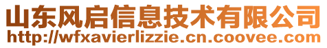 山東風(fēng)啟信息技術(shù)有限公司