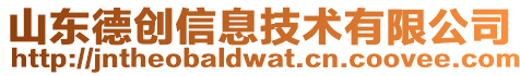 山東德創(chuàng)信息技術(shù)有限公司