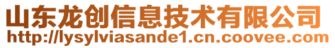 山東龍創信息技術有限公司