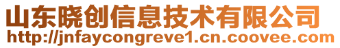山東曉創信息技術有限公司