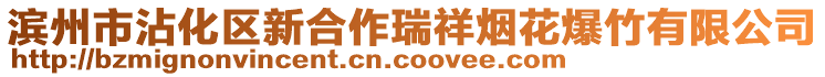 濱州市沾化區(qū)新合作瑞祥煙花爆竹有限公司