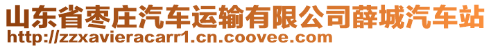 山東省棗莊汽車運(yùn)輸有限公司薛城汽車站