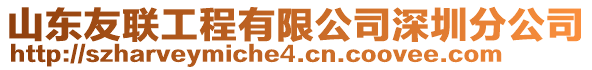 山東友聯工程有限公司深圳分公司
