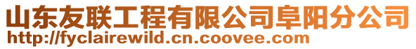 山東友聯工程有限公司阜陽分公司