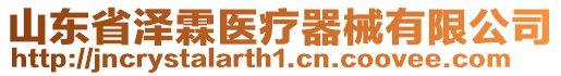山東省澤霖醫療器械有限公司